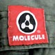 Molecule logo : logo-sew