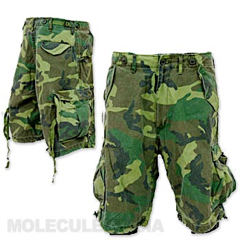 Molecule Ascent Cargo Shorts