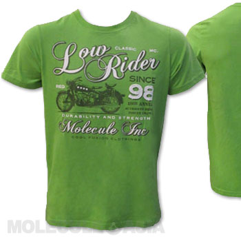 Molecule Bear Wild Wonderland T-Shirt