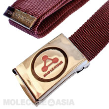 Shiny Happy Canvas Belt